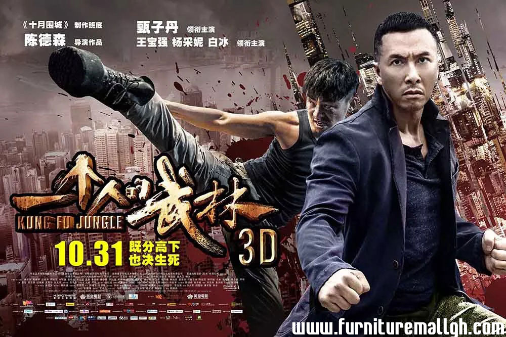 Film Kung Fu Jungle